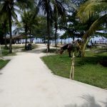 IMG-20171230-WA0036