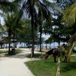 IMG-20171230-WA0044