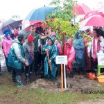 Ibu Negara Iriana tanam Mangrove di Labuan Banten