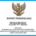 Draft Pengumuman CPNS Kab. Pandeglang
