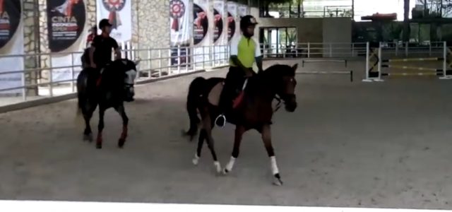 APM Equestrian Centre