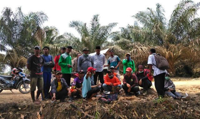 BRG di SUMSEL tumbuh berkembang