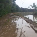 Jalan Patia rusak dan berlumpur