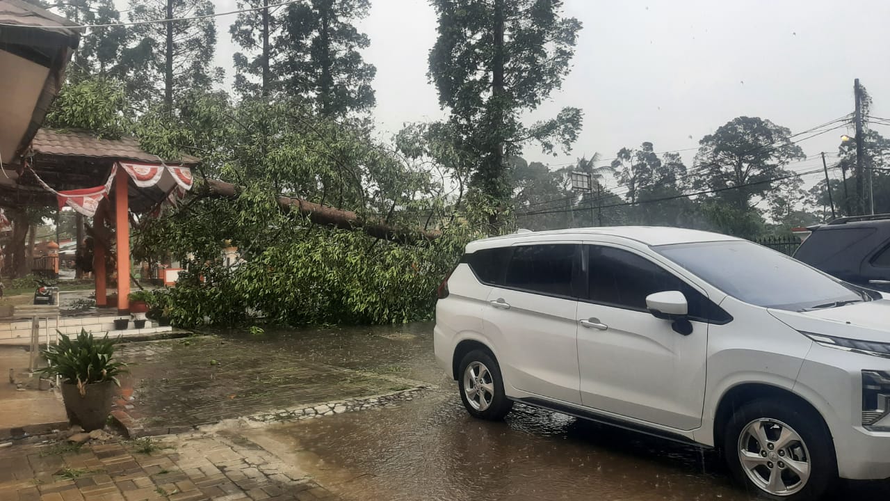 Diterjang Angin Kencang, Pohon Tumbang Hantam Kantor Kecamatan Karangtanjung