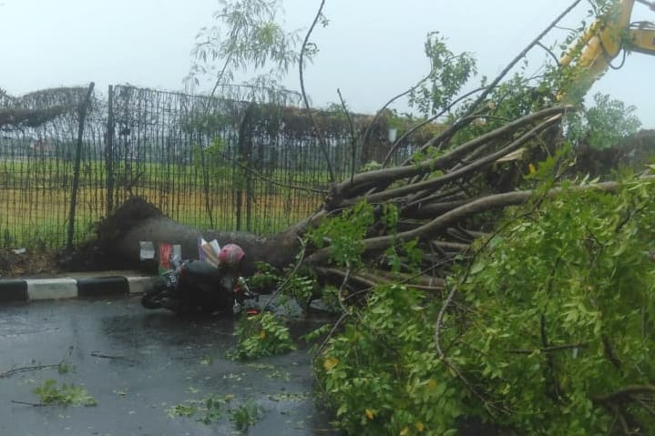 HUJAN ANGIN, PEMOTOR TERTIMPA POHON TUMBANG DI TANGERANG SELATAN